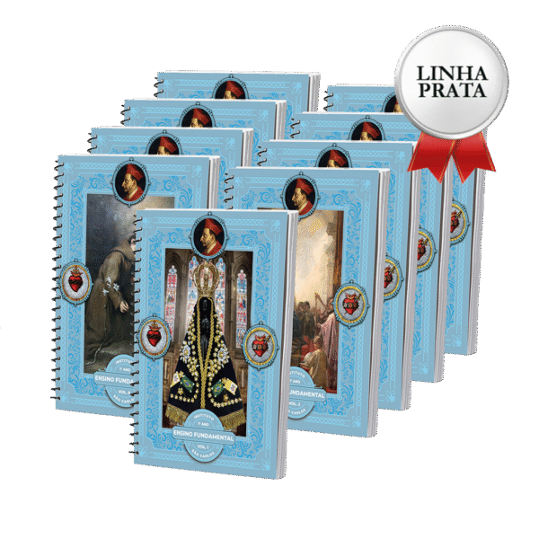 LINHA PRATA - 1º Ano - Ensino Fundamental I