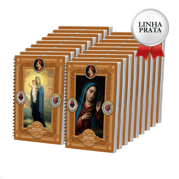 LINHA PRATA - 1º Ano - Ensino Médio