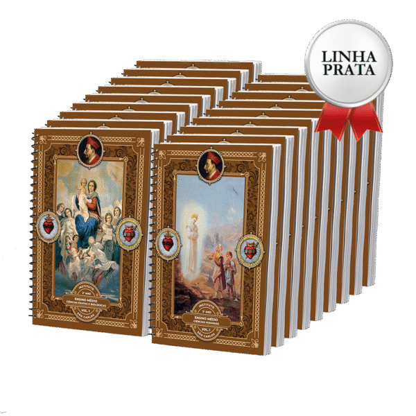 LINHA PRATA - 2º Ano - Ensino Médio
