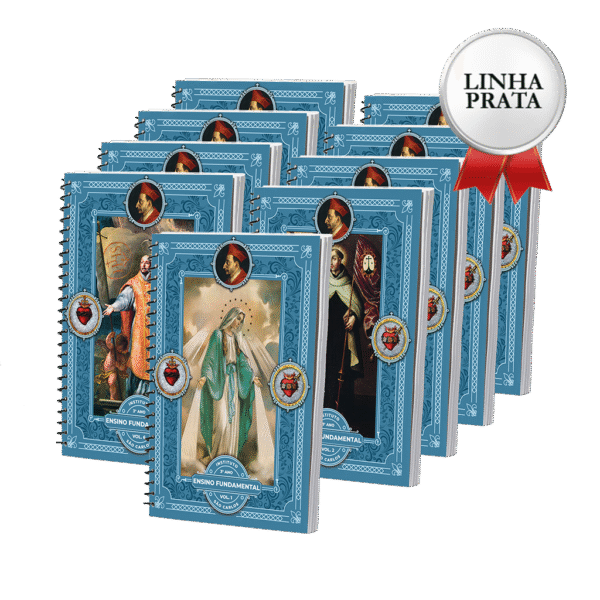 LINHA PRATA - 3º Ano - Ensino Fundamental I