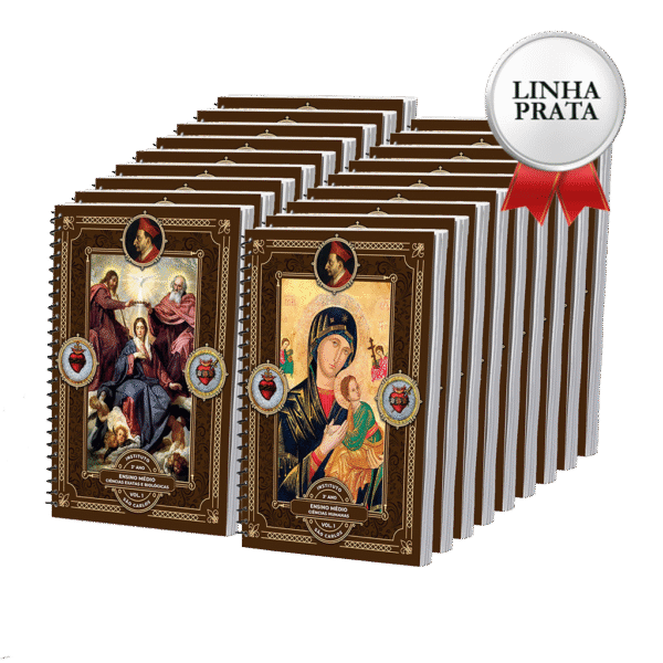 LINHA PRATA - 3º Ano - Ensino Médio