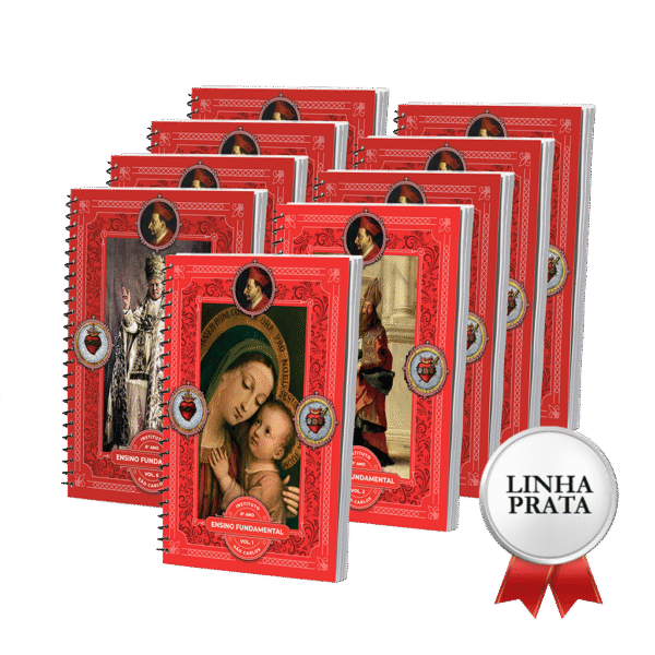 LINHA PRATA - 6º Ano - Ensino Fundamental II