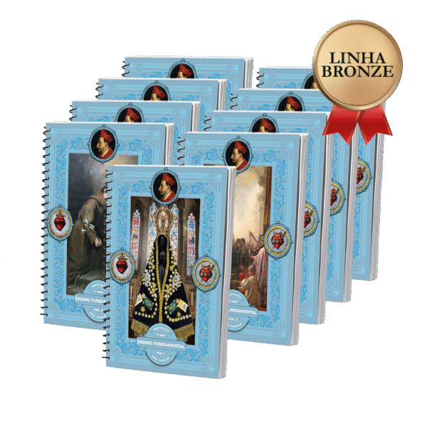 LINHA BRONZE - 1º Ano - Ensino Fundamental I