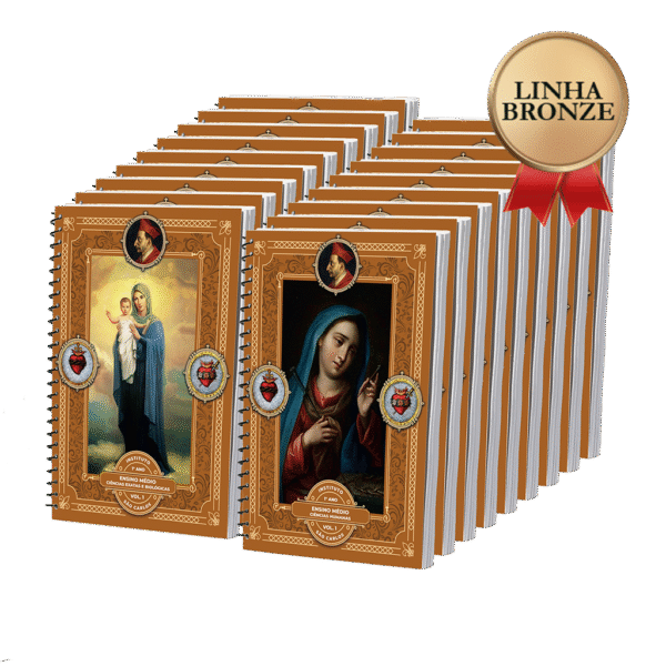 LINHA BRONZE - 1º Ano - Ensino Médio