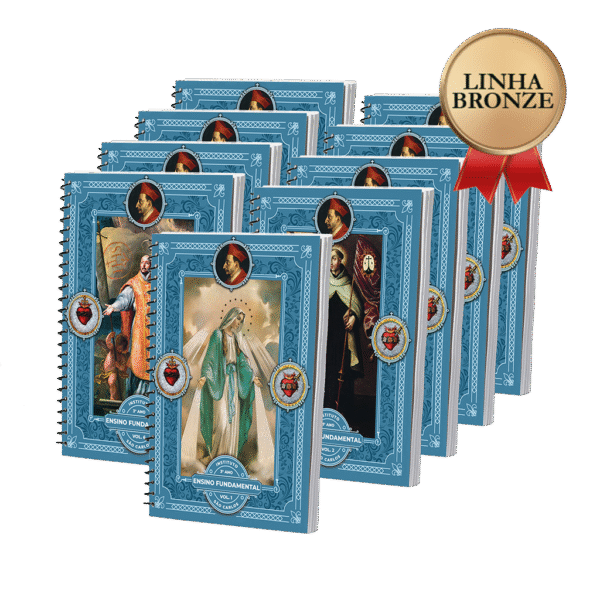 LINHA BRONZE - 3º Ano - Ensino Fundamental I
