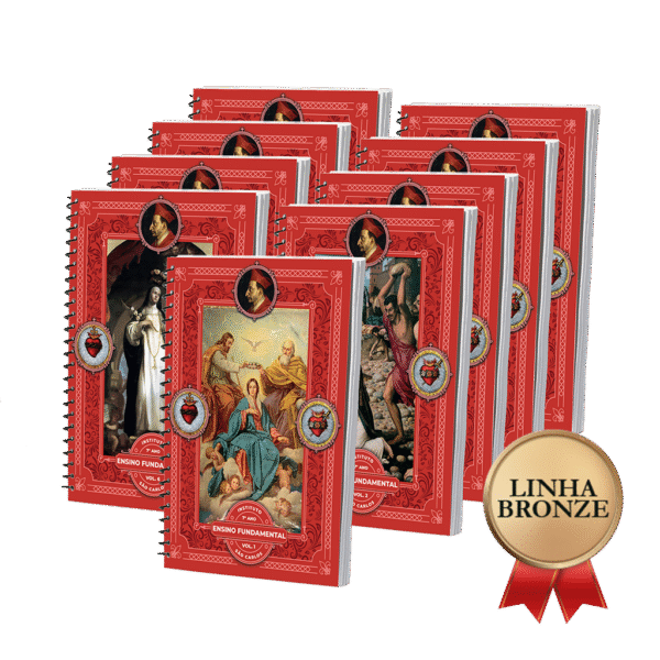 LINHA BRONZE - 7º Ano - Ensino Fundamental II