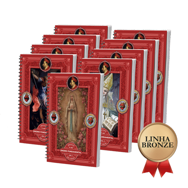 LINHA BRONZE - 8º Ano - Ensino Fundamental II