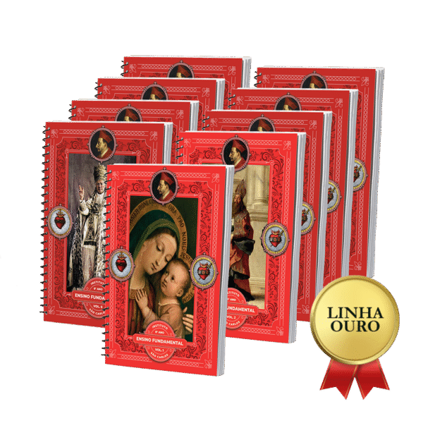 LINHA OURO - 6º Ano - Ensino Fundamental II