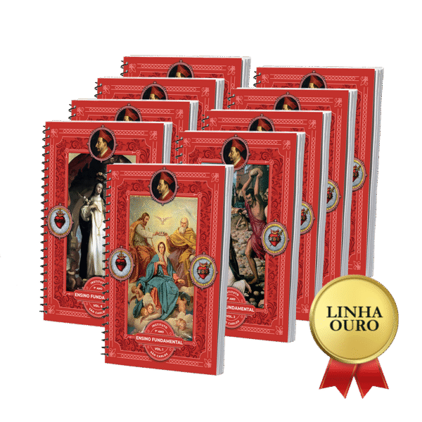 7º Ano Fundamental | Mosteiro da Santa Cruz