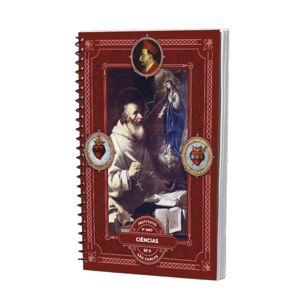 MATERIAL SEPARADO - CIÊNCIAS - 9º Ano do Ensino Fundamental II