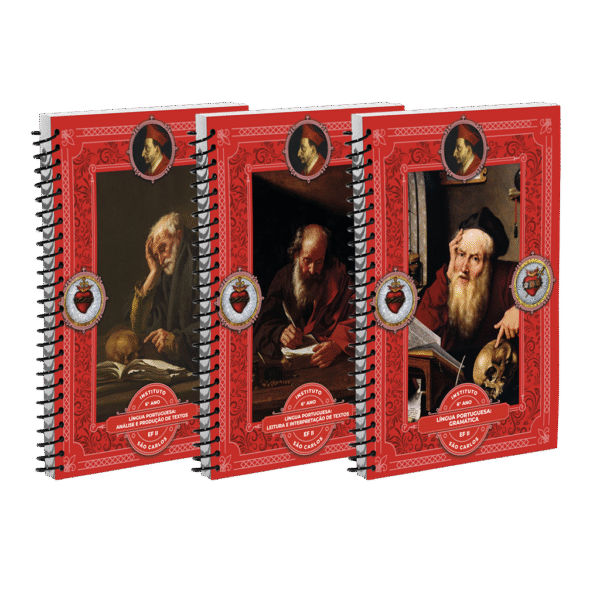 MATERIAL SEPARADO - LÍNGUA PORTUGUESA - 3 Volumes - 6º Ano do Ensino Fundamental II